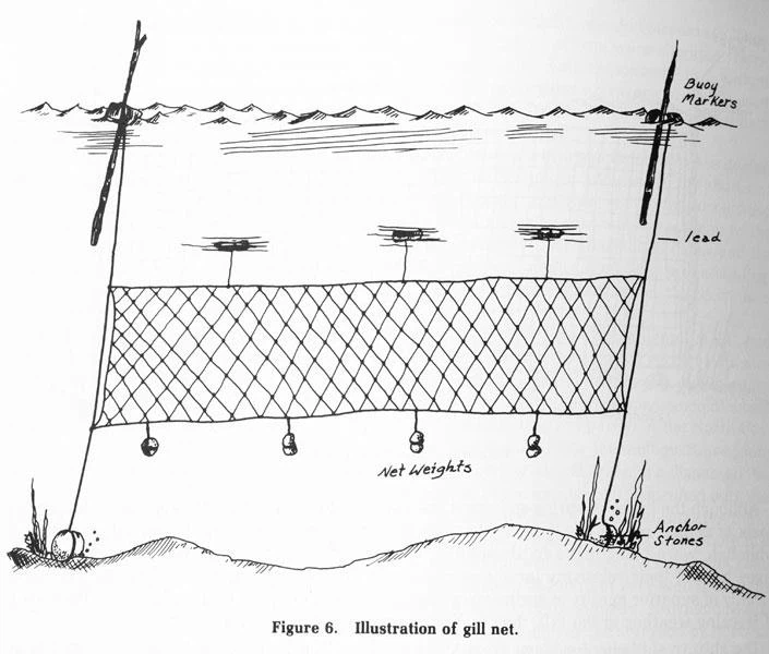 Material de la red de enmalle de pesca PE