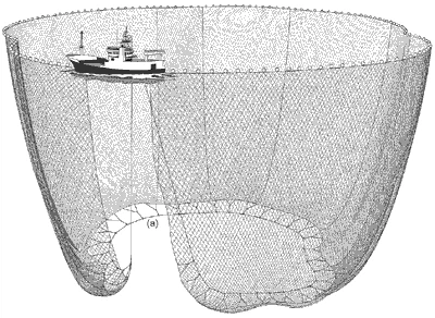 Sea Seines For Pelagic Fishing