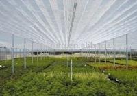 Red de sombra solar HDPE para invernaderos